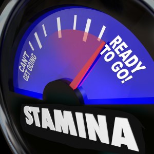 The word Stamina on a fuel gauge measuring your drive, power, en