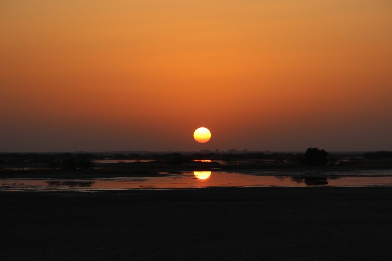 03-kutch-img_1686